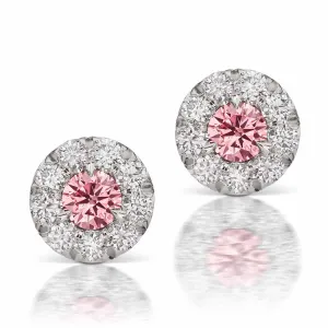 Argyle Pink 3PR Diamond Halo Studs