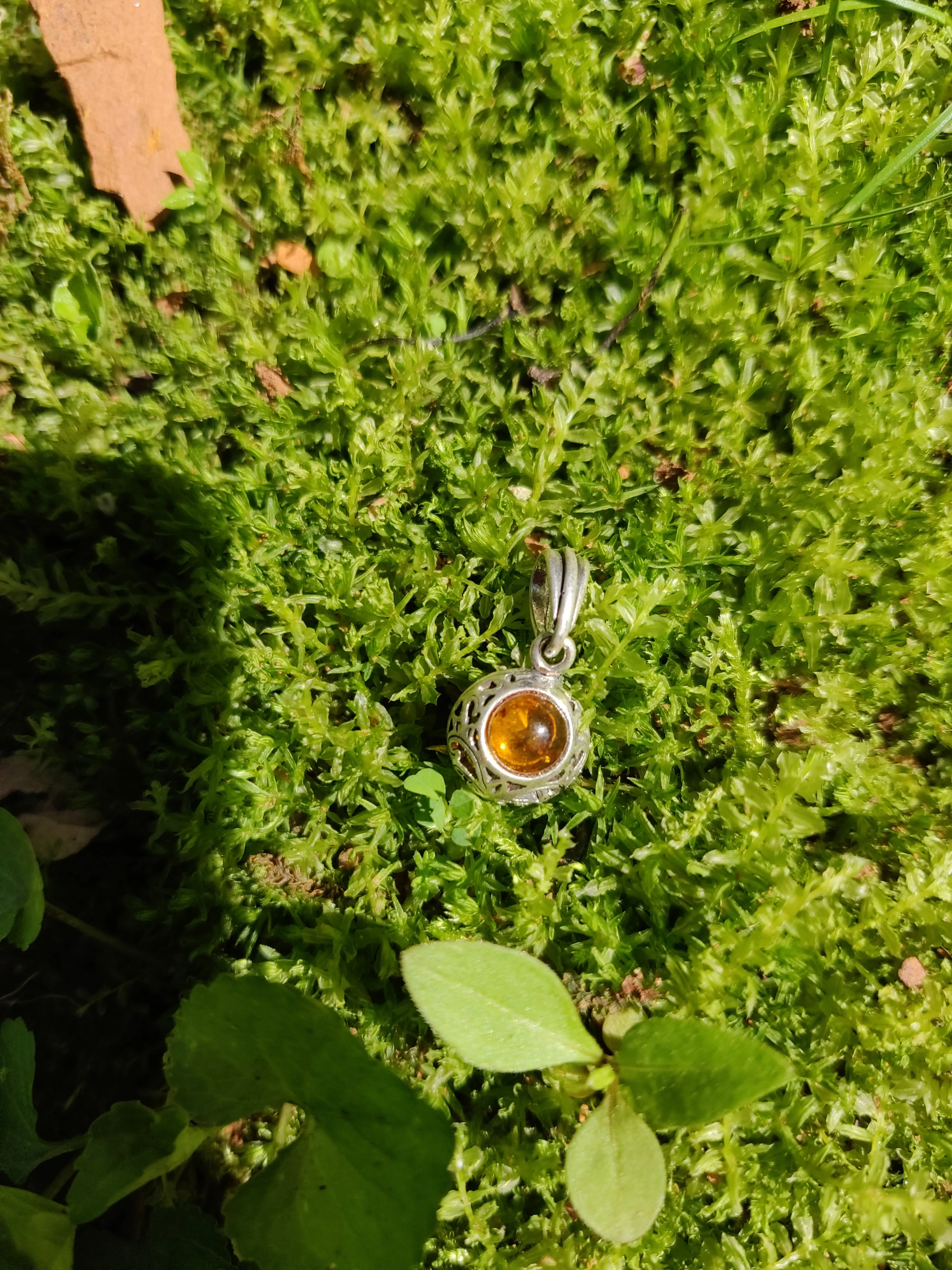 Baltic Amber Pendant in Sterling Silver (#6)