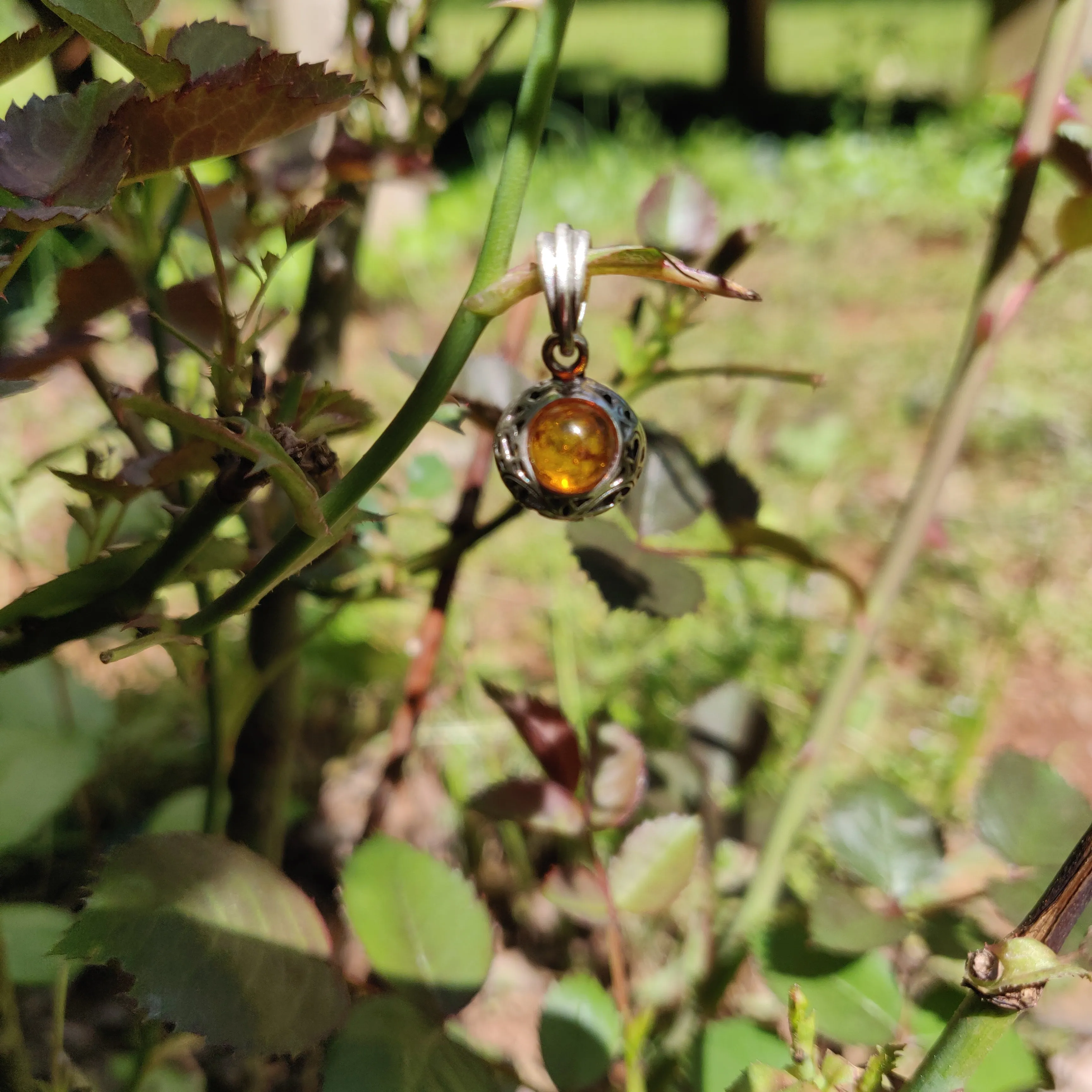 Baltic Amber Pendant in Sterling Silver (#6)