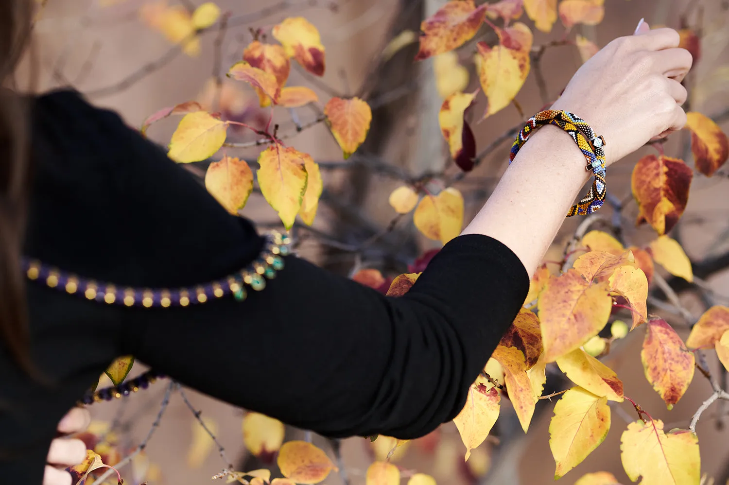 Bright Bracelet with Rings in Silver, Turquoise, & Oyster Shell