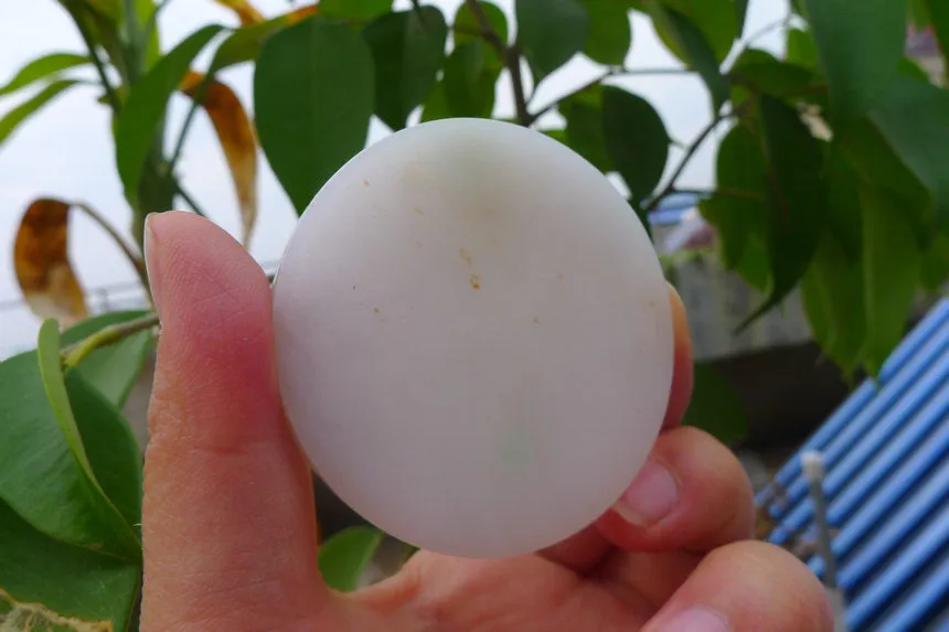 Natural Jade Rough Jadeite Raw (66g,5.7X5.7X0.8cm)